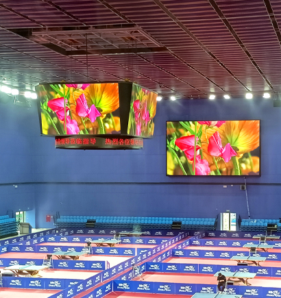 成都（dōu）成華區城東體育館