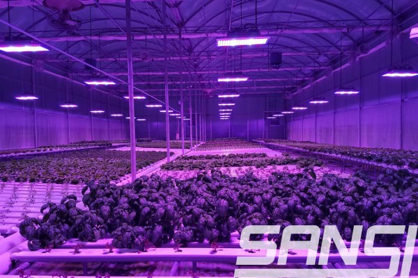 農場（chǎng）案例照（zhào）片