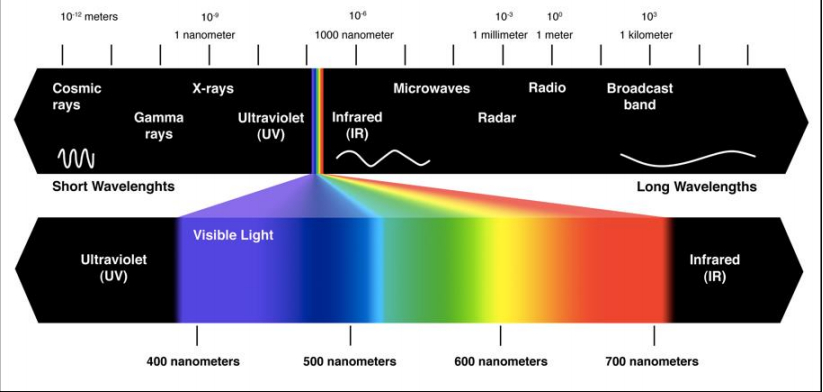 植物生長光譜（pǔ）