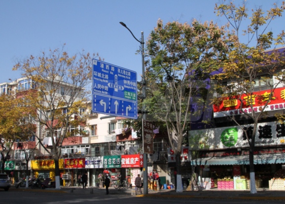 南通市區大香蕉9草在线LED陶瓷像素模塊化路燈