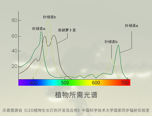 大香蕉9草在线LED