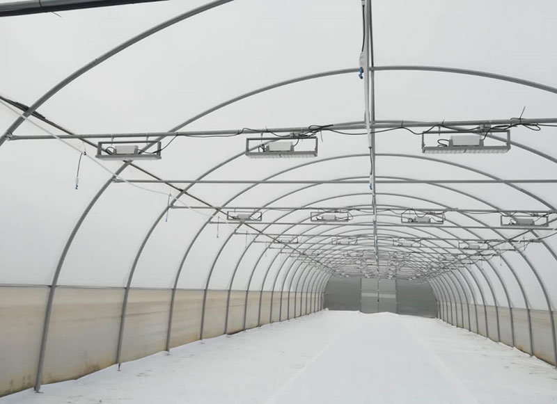 保加利亞（yà）某溫室大棚