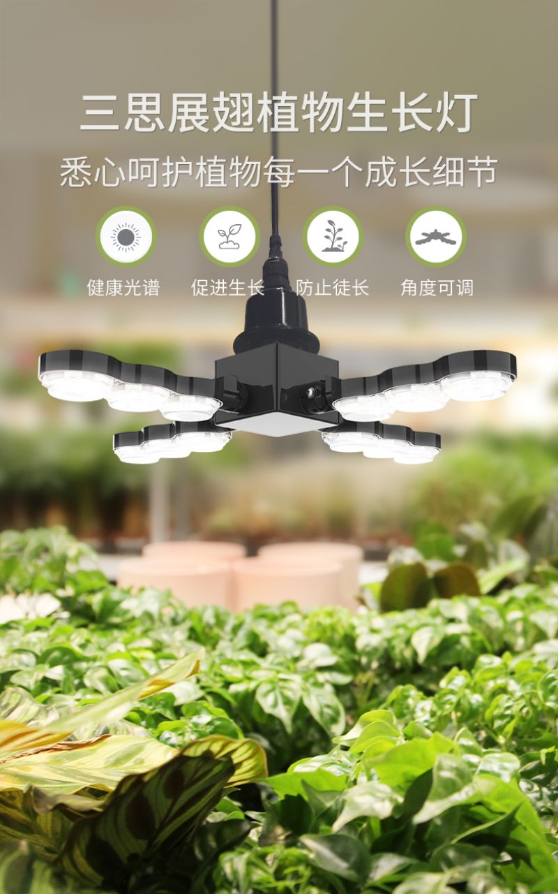 大香蕉9草在线植物燈