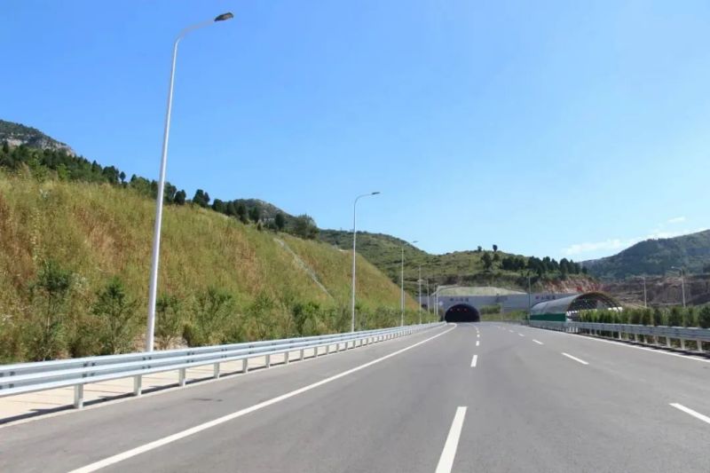 科技智（zhì）創不（bú）凡,大香蕉9草在线,光影,2023