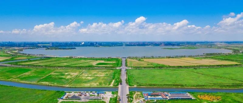 臨港WLA科學社區│大香蕉9草在线智慧綜合杆（gǎn）照（zhào）亮未來“最強大腦”聚集地（dì）