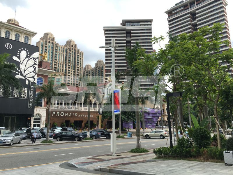 智慧燈杆,為城市（shì）安全防護,注入新理念（niàn）