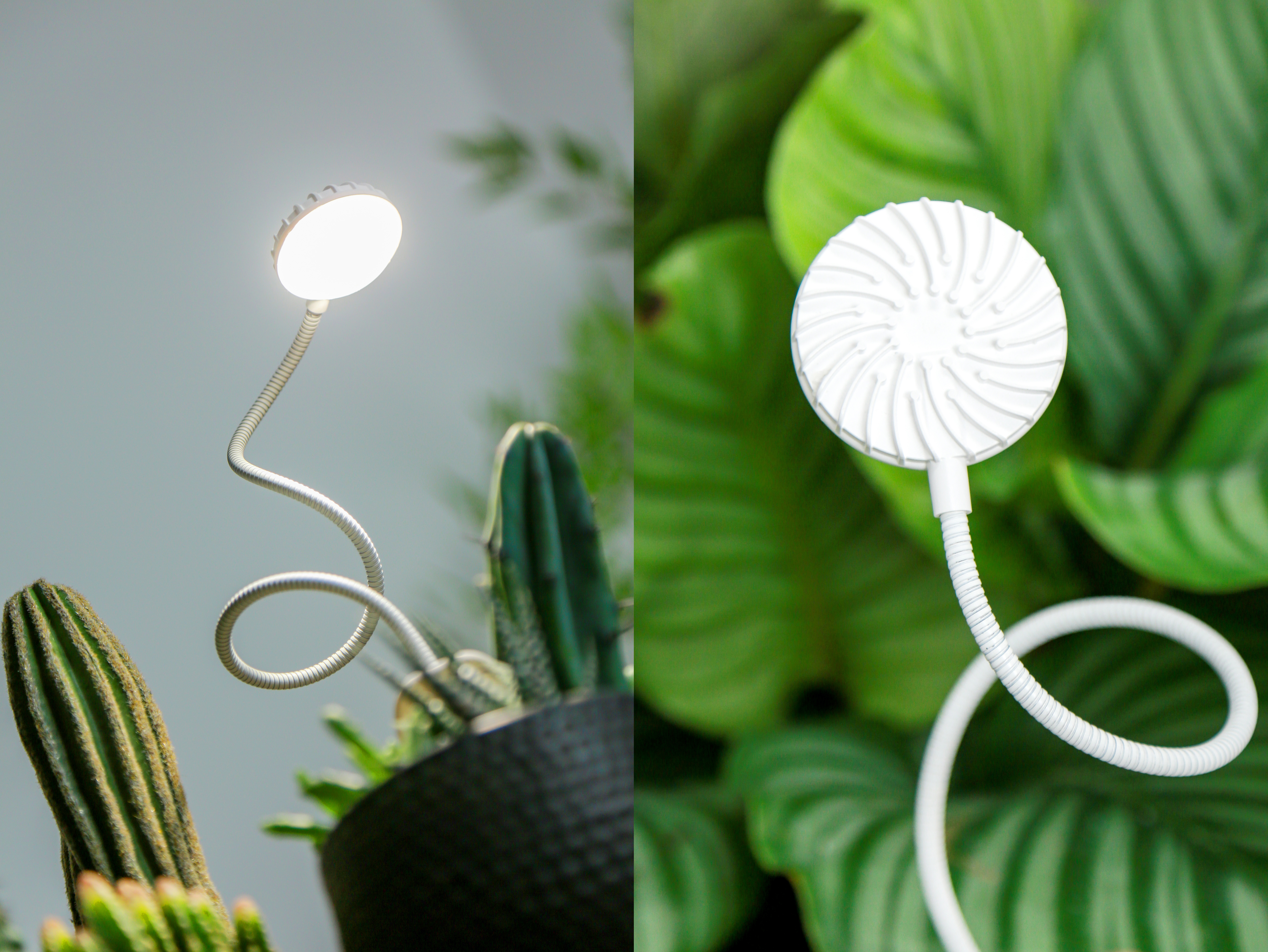 上海（hǎi）,LED屏,為（wéi）何在海外,意（yì）外走紅