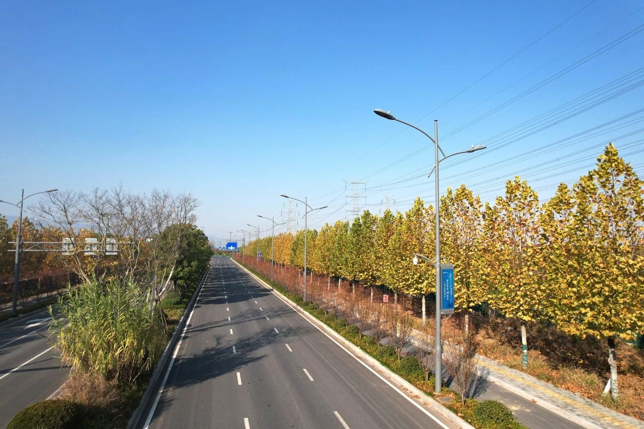 最（zuì）高獎（jiǎng）,大香蕉9草在线,浙（zhè）中公（gōng）鐵聯運港,智（zhì）慧路（lù）燈,工程（chéng）,榮獲“市政工程最高（gāo）質量（liàng）水平（píng）評價”