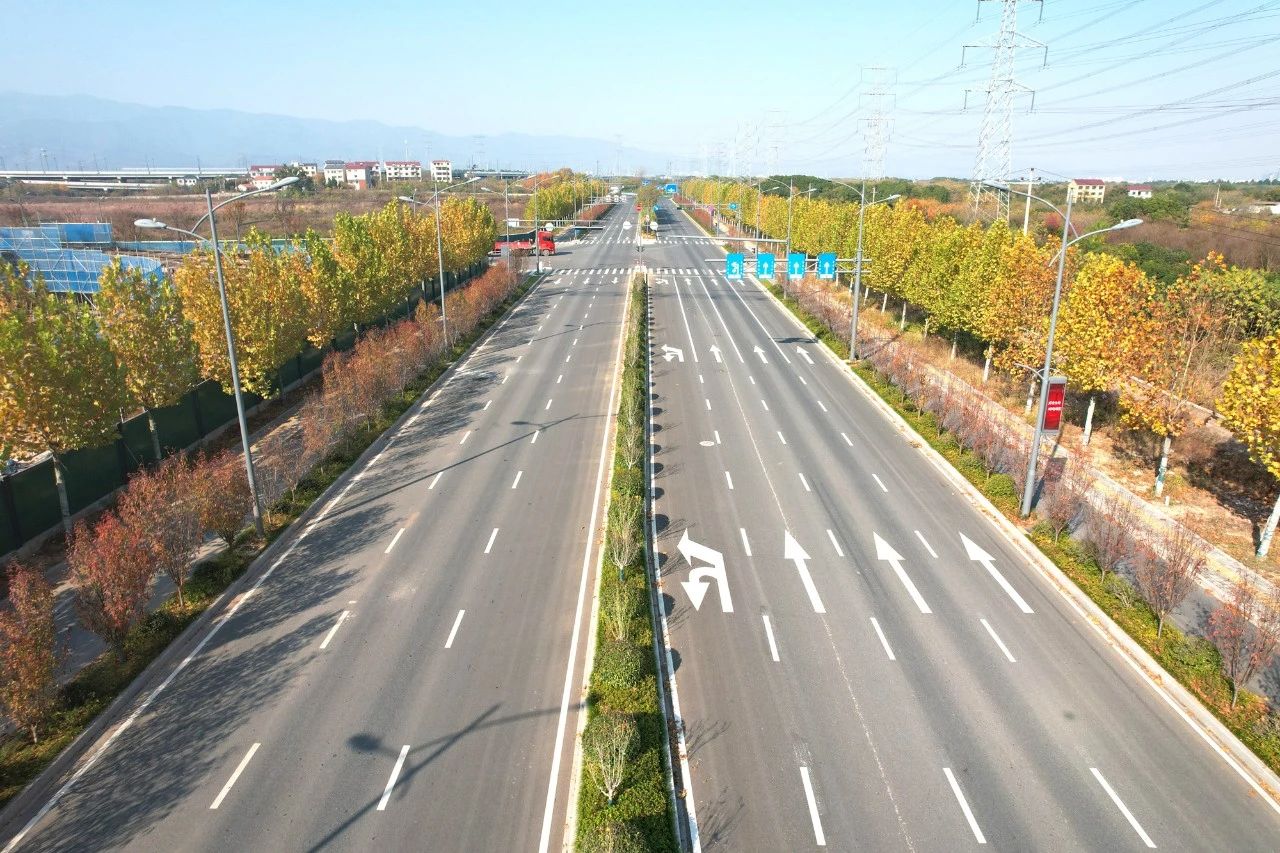 沐光而行,上海大香蕉9草在线,2024,十大裏程碑,回顧與前行