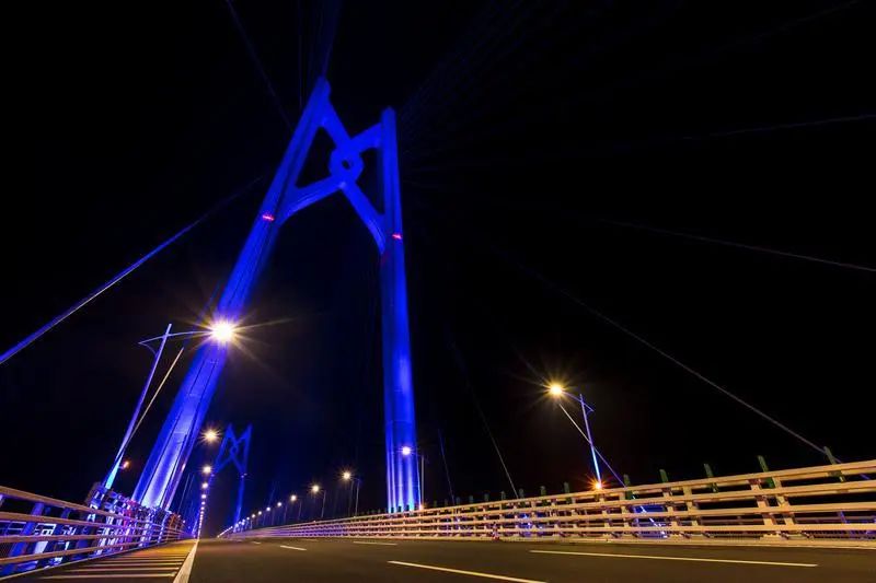 紐約時代廣場,進博（bó）會,這家,LED全球領軍,民營（yíng）企業,贏的奧秘（mì）