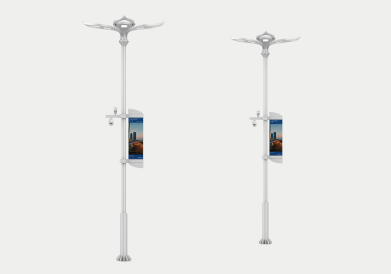 水芙蓉-智慧路（lù）燈